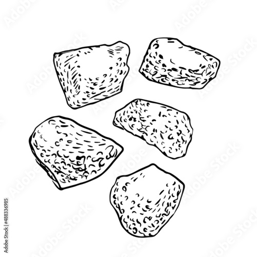 Soy texturate vector. Artificial meat