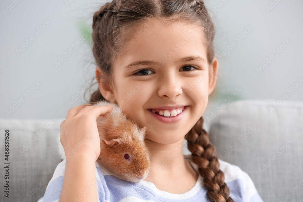 Little girl with cute guinea pig at home