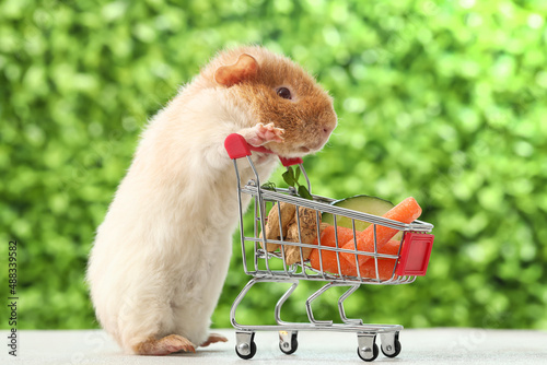 Funny Guinea pig and shopping cart with food on table outdoors photo