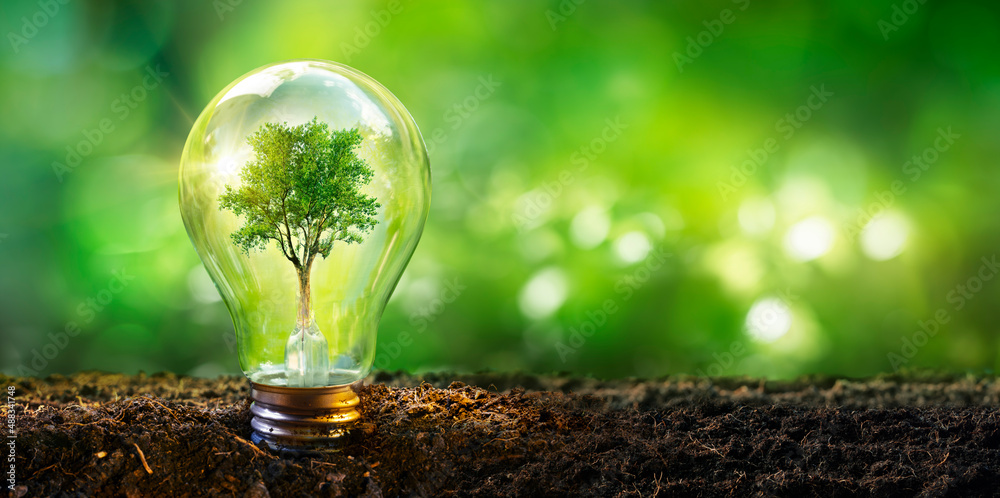 Lamp With Tree - Ecology Energy Development Concept - obrazy, fototapety, plakaty 