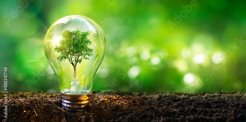Lamp With Tree - Ecology Energy Development Concept photo