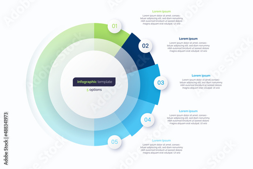 Five option circle infographic design template. Vector illustration