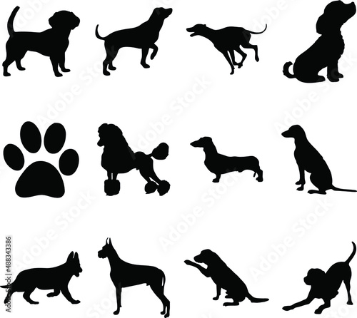 Dog Silhouette