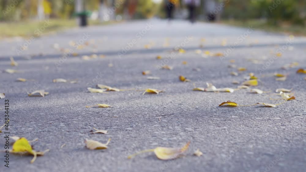 People walks in autumn park. Change of season. People walks in autumn park. Change of season.