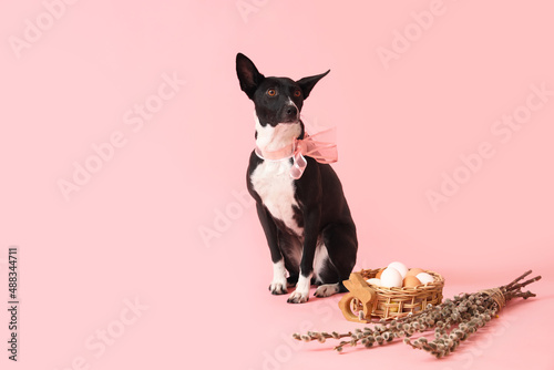 Cute dog with Easter eggs i...