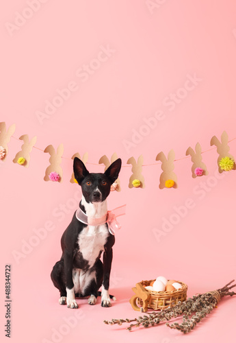 Cute dog with Easter eggs, ...