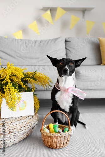 Cute dog and basket with Easter eggs at home photo