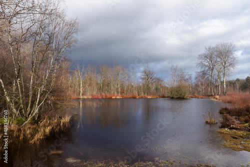 Stormy sky on  Coquibus ponds. Fontainebleau forest