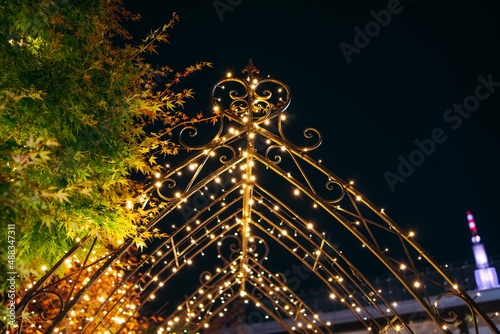christmas tree at night