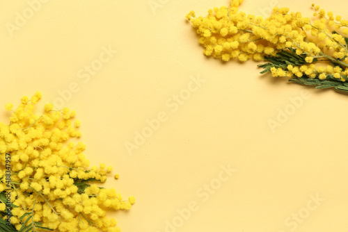 Beautiful mimosa branches on yellow background © Pixel-Shot