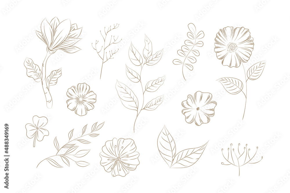 Doodles Herbs and flowers, set of hand-drawn flowers, floral set of wildflowers and herbs, vector objects isolated on a white background. One Line Drawing Vector Flowers Print Set. Botanical 
