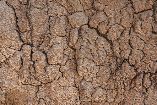 Cracked dry texture of brown soil, dehydrated soil, with dried plant remains. Seamless ground background, with evenly distributed cracks