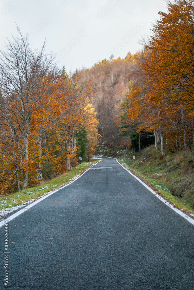Road through mountains with forests in contrasting red and green autumn colors