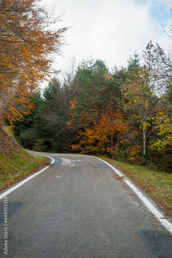 Naklejka premium Road through mountains with forests in contrasting red and green autumn colors