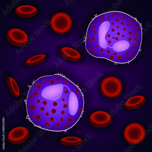Innate immune system: eosinophils cells in blood, vector illustration