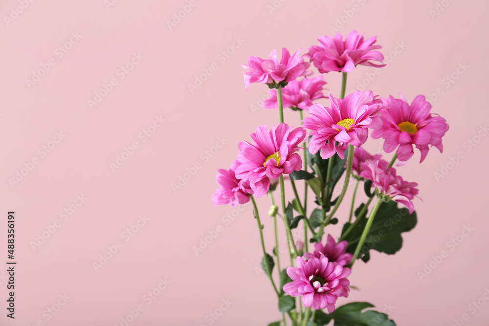 Bouquet of beautiful flowers on color background, closeup
