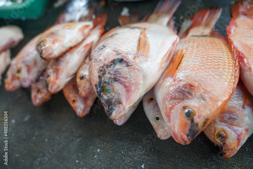 Freshwater fish and red sea fish sold in traditional markets.