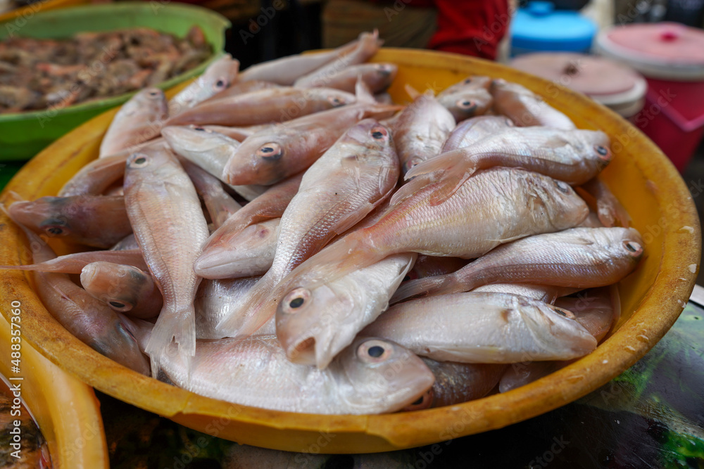 Freshwater fish and red sea fish sold in traditional markets. Freshwater fish and red sea fish sold in traditional markets.