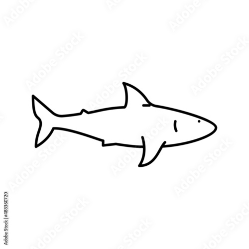 shark ocean line icon vector illustration