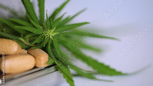Cannabis CBD and THC pills products medicine in capsules, healthy eating concept with organic herb, alternative multivitamin for health care