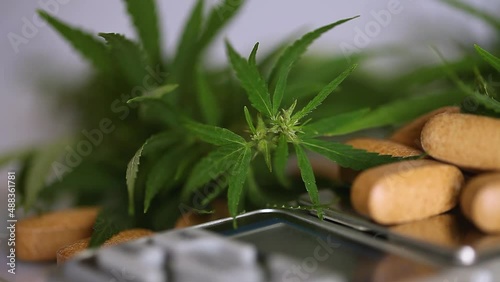 Concept cannabis CBD and THC pills products medicine in capsules, CBD oil, pharmaceptical industry. Concept with organic herb