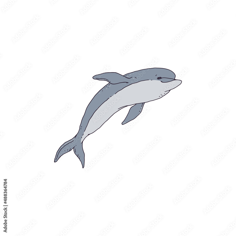 Obraz premium Dolphin jumping playful aquatic animal contour line doodle vector Illustration.