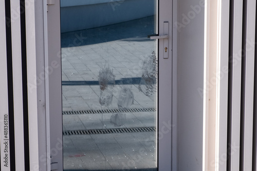 Dirty footprints on glass door due to kicking it. Attempt to brake the glass window.