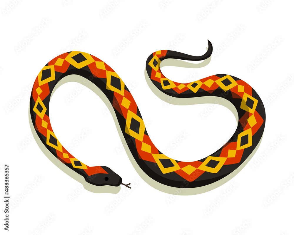 Venomous snake. Danger color animal. Poisonous reptile crawl. Decorative character, wildlife nature animal Venomous snake. Danger color animal. Poisonous reptile crawl. Decorative character, wildlife nature animal