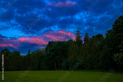 woods landscape forest edge atmosphere picturesque scenic view in sunset lighting time with dramatic dark blue cloudy sky with purple shade