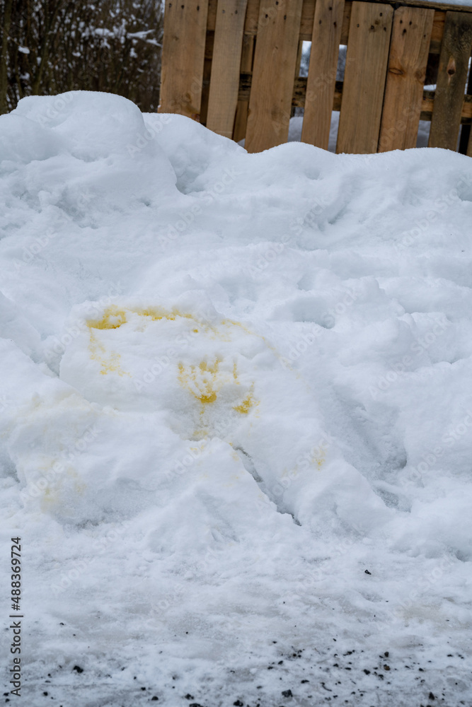 custom made wallpaper toronto digitalDog's pee on the snow. 