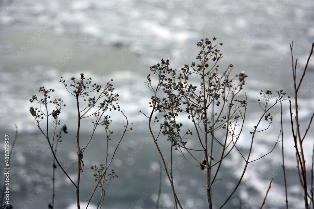 Winter. Die Natur im Frost Winter. Die Natur im Frost