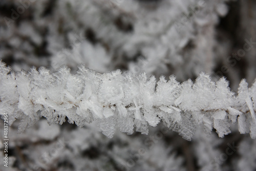 Winter. Die natur im Frost