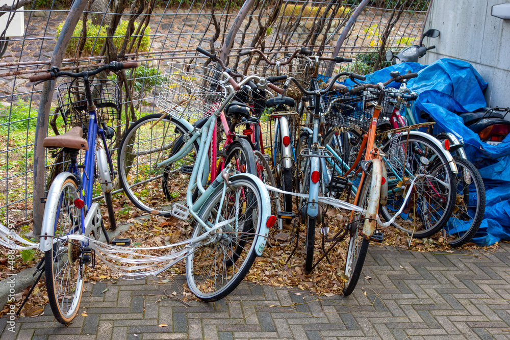 bicycles in the city