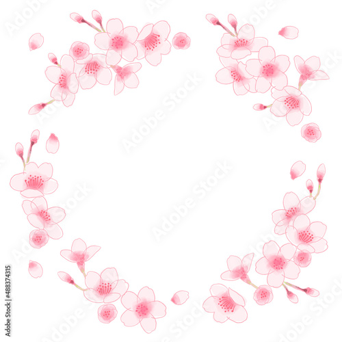 桜のイラストのフレーム素材