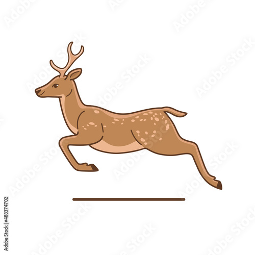 Jumping deer. Detailed drawing of animal. Vector illustration.