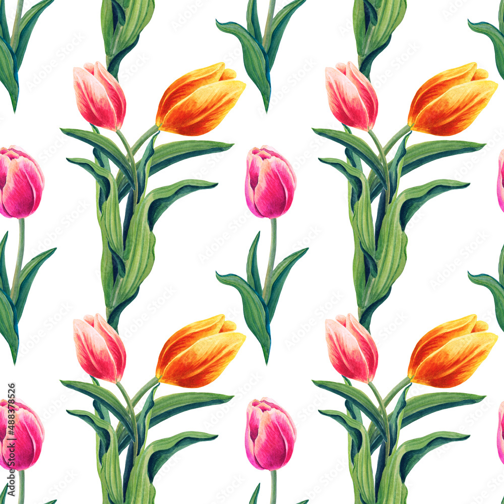 Fototapeta premium Watercolor Spring tulips. Seamless pattern with orange, red, pink Flowers