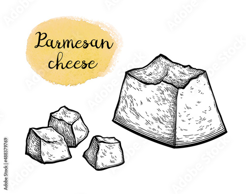 Parmesan cheese ink sketch.