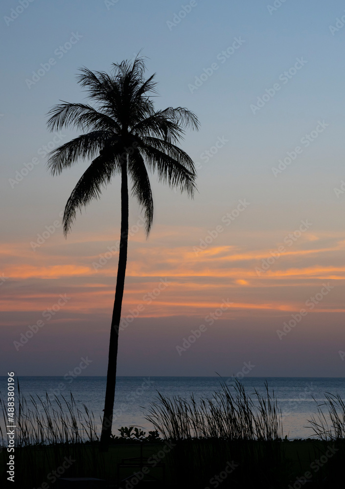 Golden sunset time with silhouette of coconut tree. Wonderful time at Phuket, Thailand.
