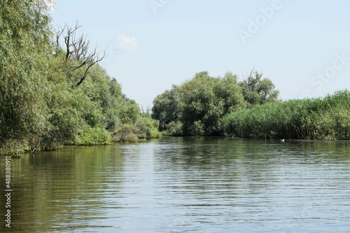 Landscape on a navigable canal surrounded by vegetation in the Danube Delta during a beautiful sunny day with blue sky. Cruising on its channels