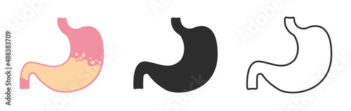 Stomach organ vector icon on white background.