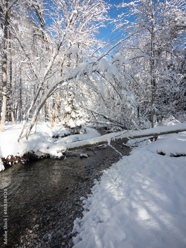 Fototapeta premium A small creek in a snowy forest