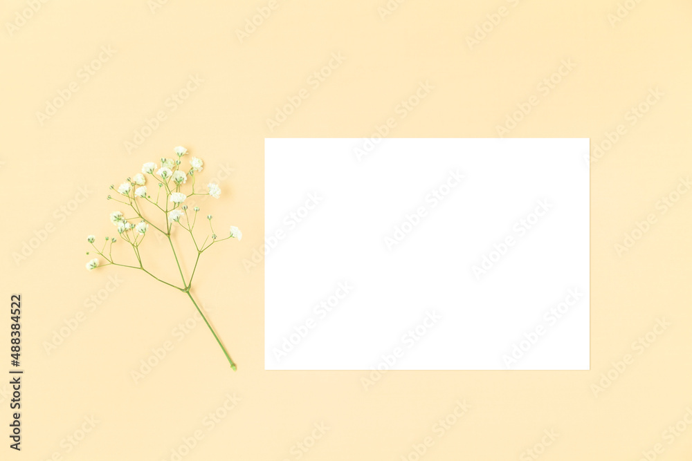 Blank white card 5x7 with a flower on a yellow background.