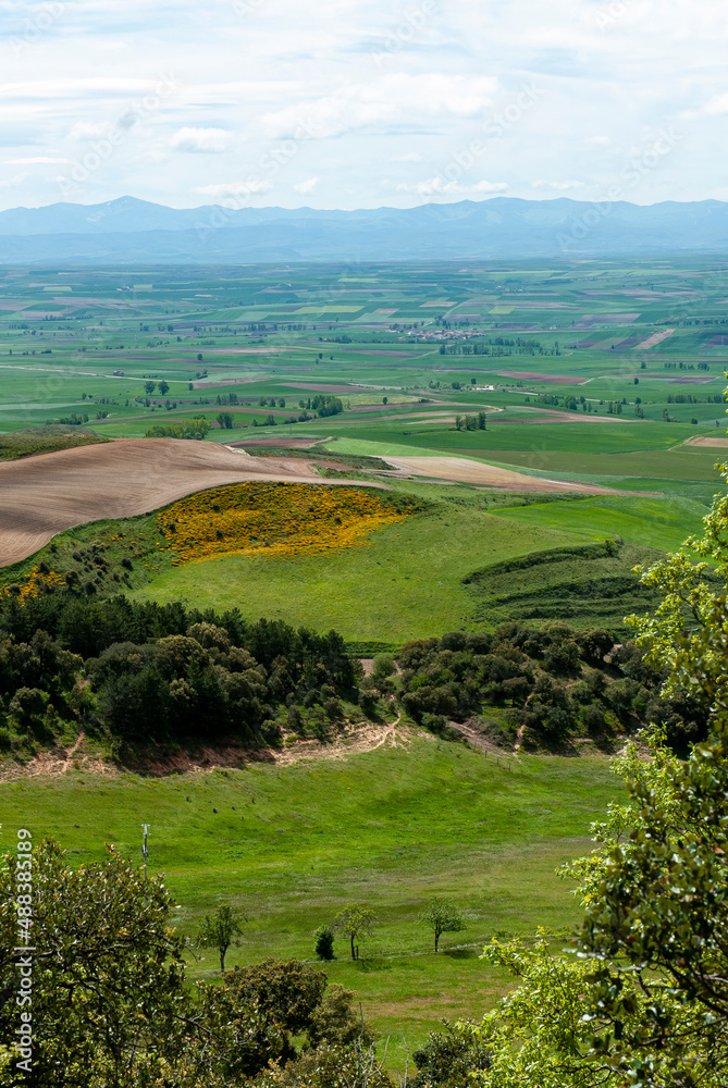 Naklejka premium Cultures , Pyrénées, Province de Navarre, Espagne
