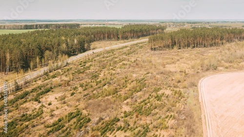 Aerial View Pine Forest Deforestation Area Landscape, Agriculrural Field and country road. Forest Near Field. Bird's Eye View. Drone Lapse Hyperlapse. 4K. Timelapse Dronelapse Hyperlapse Time Lapse. photo