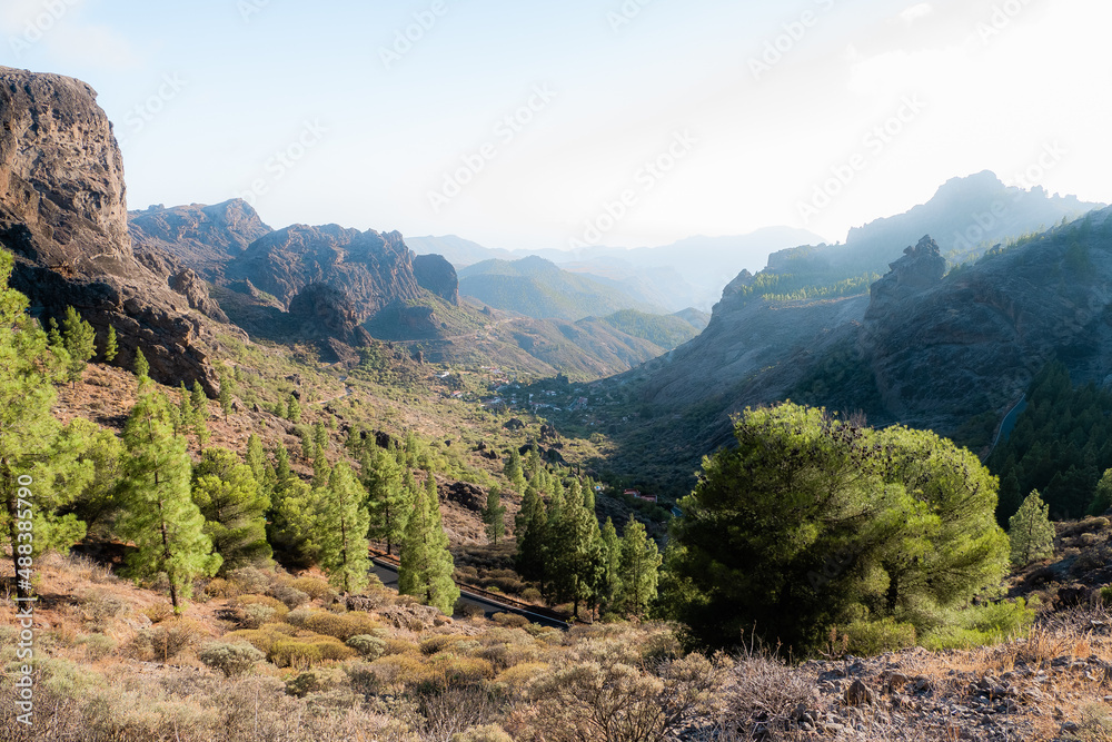 Naklejka premium Mountain landscape with trees and rocks