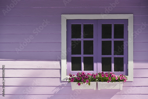 Window with purple flowers and purple house wall.Beautiful purple background.