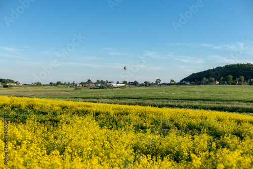 Yellow blooming rapeseed field against the blue sky with clouds. Sunny day.