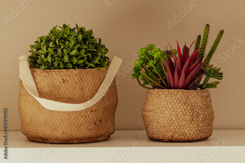 Decoration with green and red flowers in the vase
