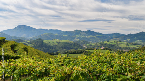 Weinberge und Berge im Baskenland (Getaria) photo