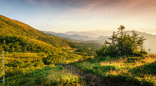 Beautiful sunrise in the Carpathians. Traveling along the mountains, freedom and active lifestyle concept. The beauty of the Carpathian Mountains. Vibrant photo